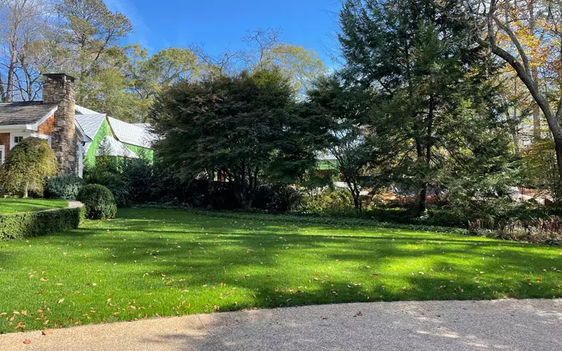 House with green healthy grass