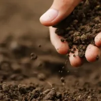 hand running through soil
