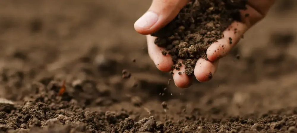 hand running through soil