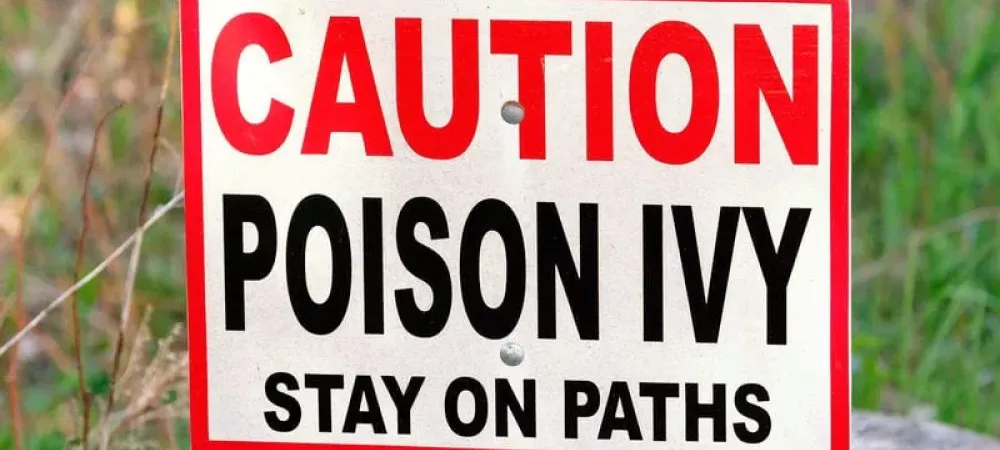 poison-ivy-sign-800-800x675